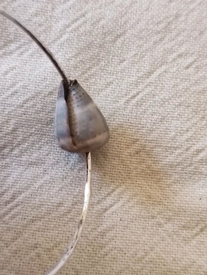 🐚 bracelet jonc argent et coquillage pièce unique 🌺Hawaï 👄 - photo numéro 7