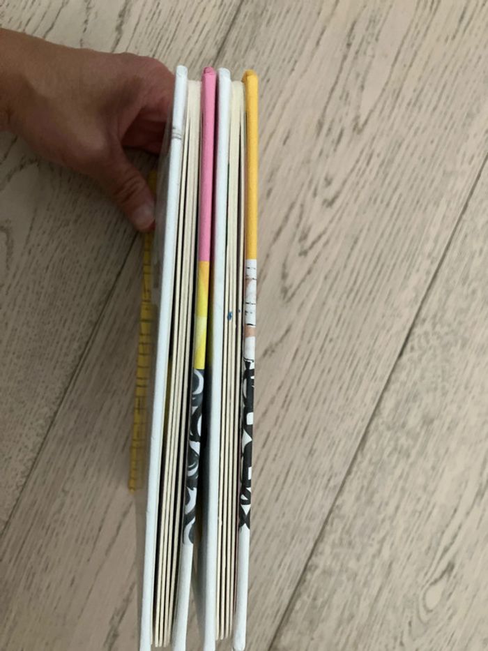 Lot de 2 livres Grroar fait lion / Meuuh fait la vache - photo numéro 12
