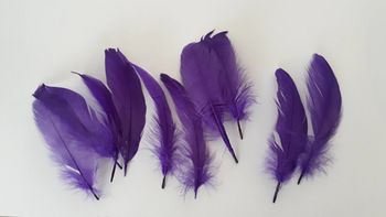4 lots de plumes colorées