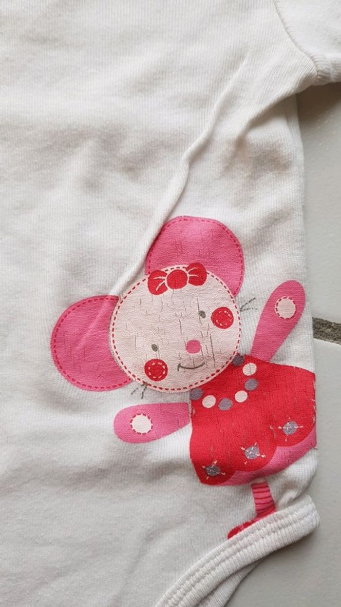 Bodie Taille 3 mois - photo numéro 3