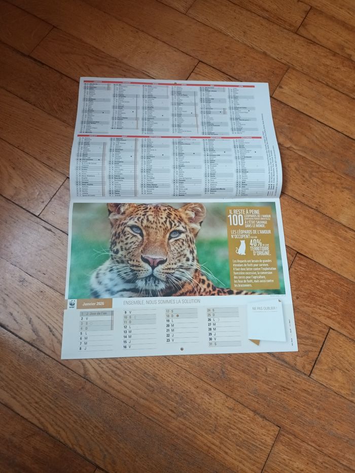 Calendrier 2026 wwf animaux - photo numéro 2
