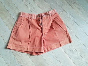 Short 40 requins