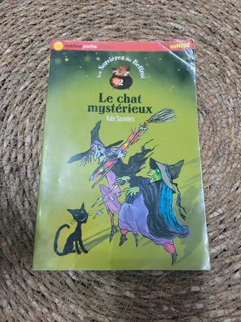 Le chat mystérieux. 10-12 ans.