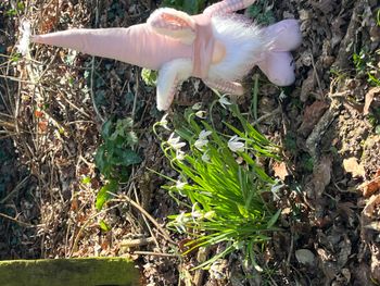 gnome de Pâques avec oreilles de lapin en vichy rose et blanc