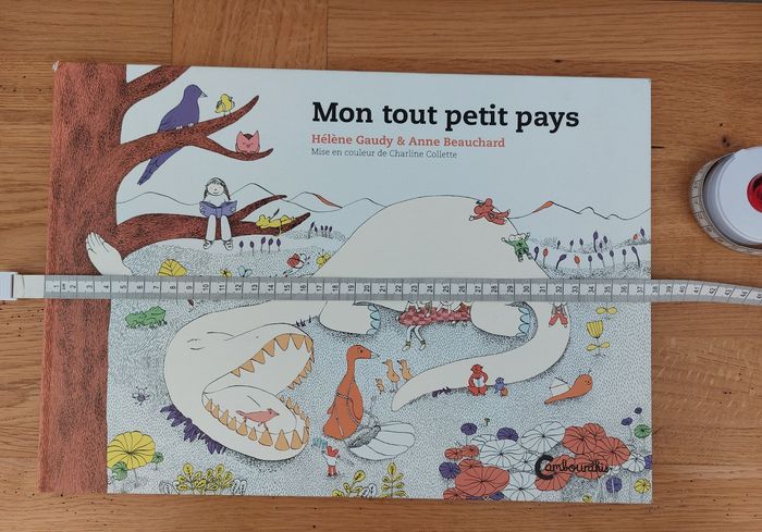 Mon tout petit pays / grand livre - photo numéro 5