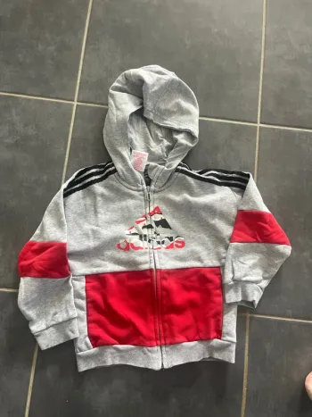 Sweat adidas capuche
