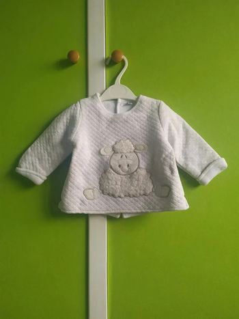 Pull mouton