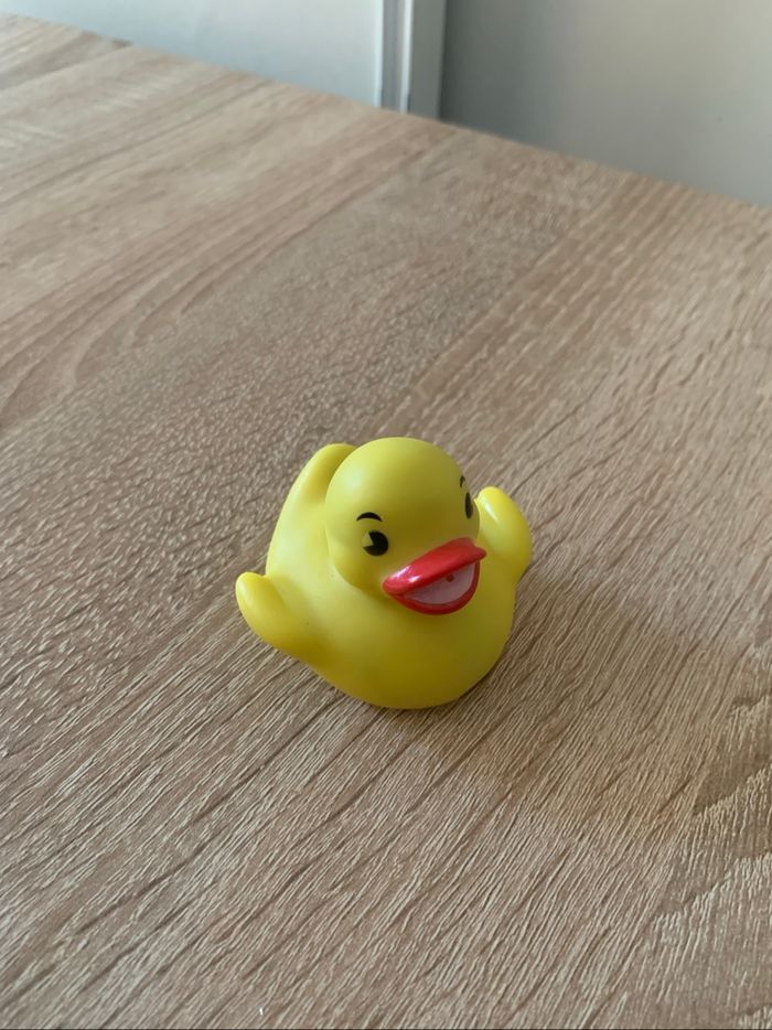 Lots de jouets de bain canards - photo numéro 7