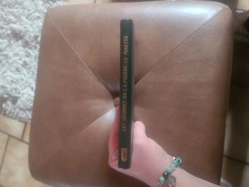 Les hommes de la pierre st-martin