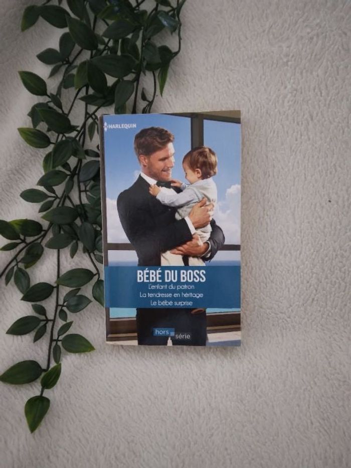 Livre bébé du boss