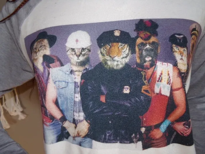 Pull animaux - photo numéro 4