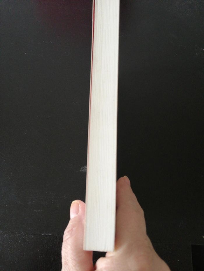 Considération sur Hitler - photo numéro 4