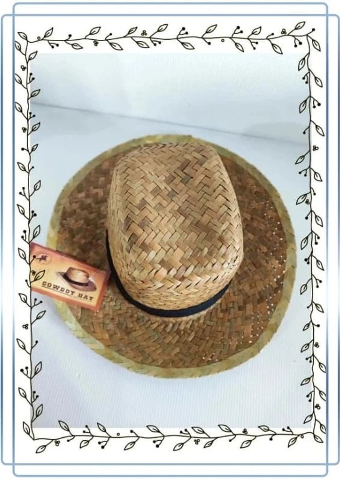 Chapeau Cow boy, taille 55cm, neuf Funny Fashion - photo numéro 2