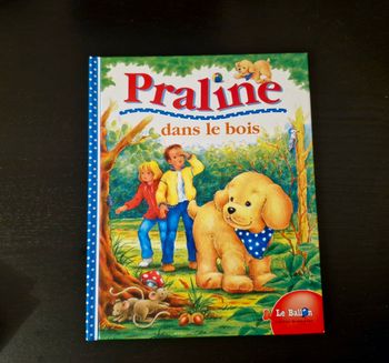 Livre - Praline dans le bois