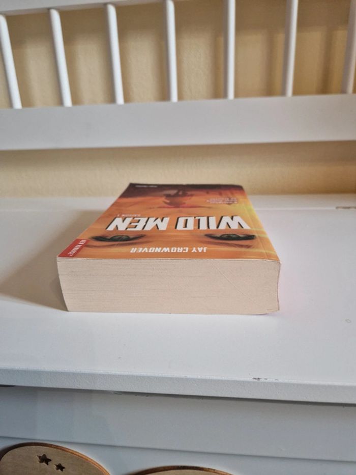 Livre romance - photo numéro 6