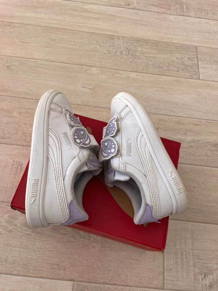 Puma 24 (papillon violet) - photo numéro 4