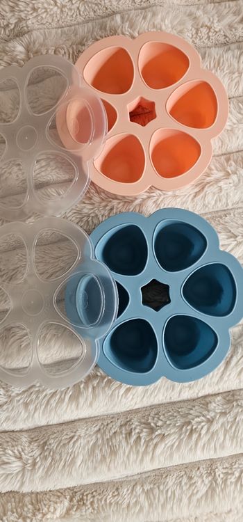 Lot de 2 fleurs 🌸 multiportions BEABA 90ml