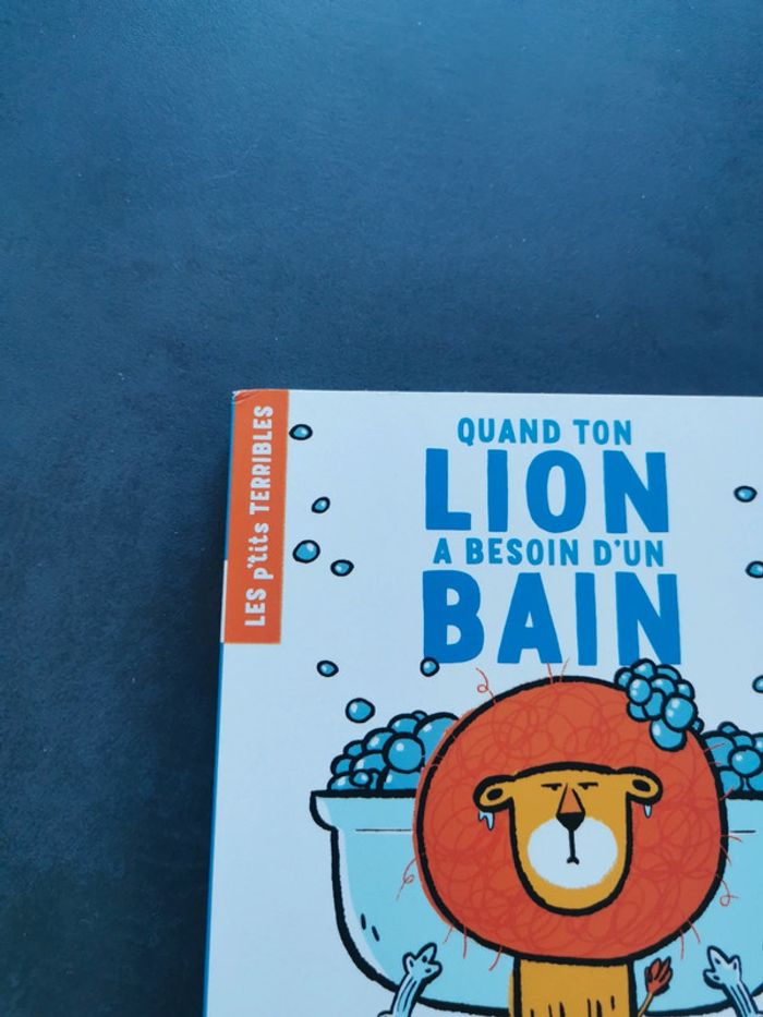 Livre bébé neuf quand ton lion a besoin d'un bain - photo numéro 2