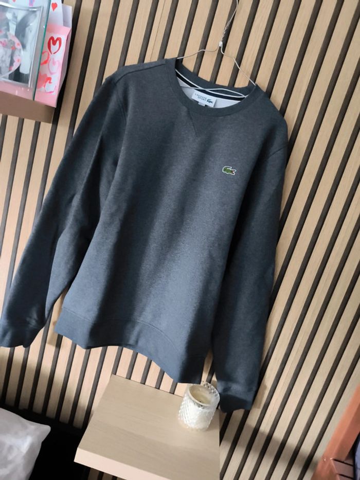 Pull Lacoste