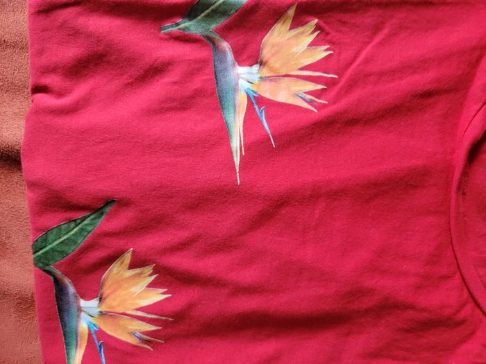 Tee shirt souvenir de Madère - photo numéro 9