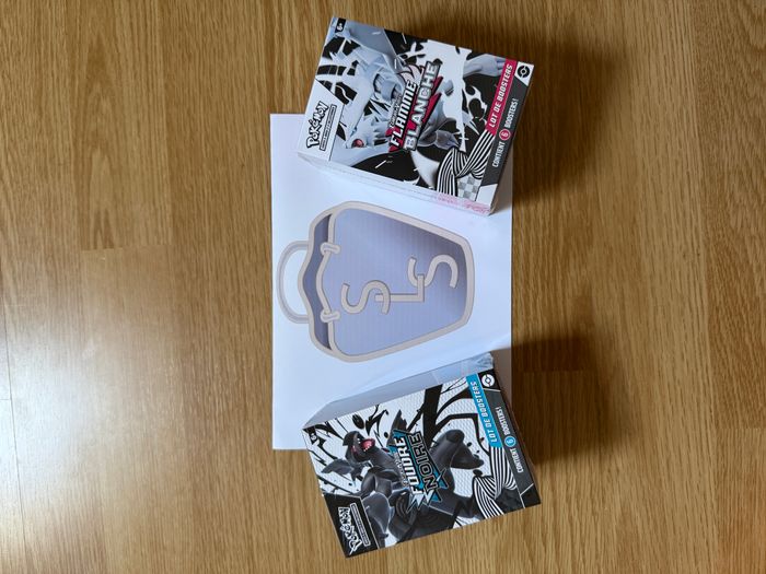 Lot de 2 Coffrets Pokémon, Bundle EV10.5, en français