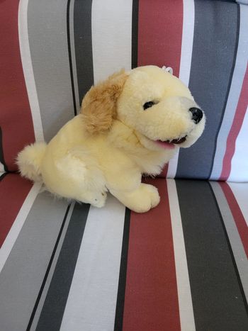 Peluche chien