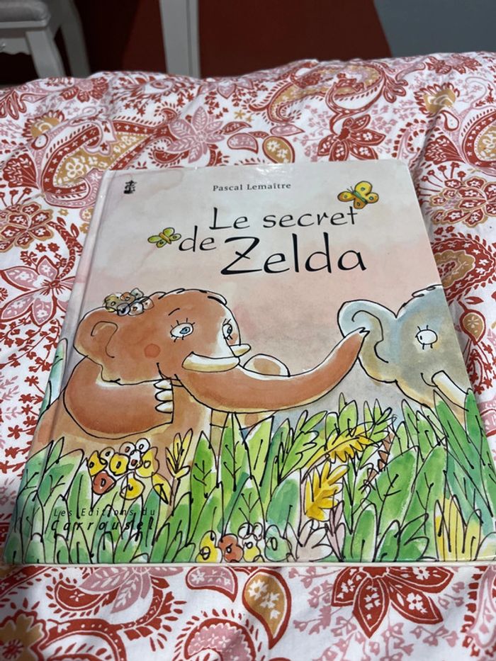 Le secret de Zelda livre