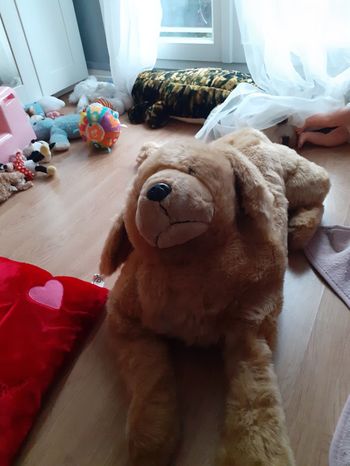 Très grande peluche chien