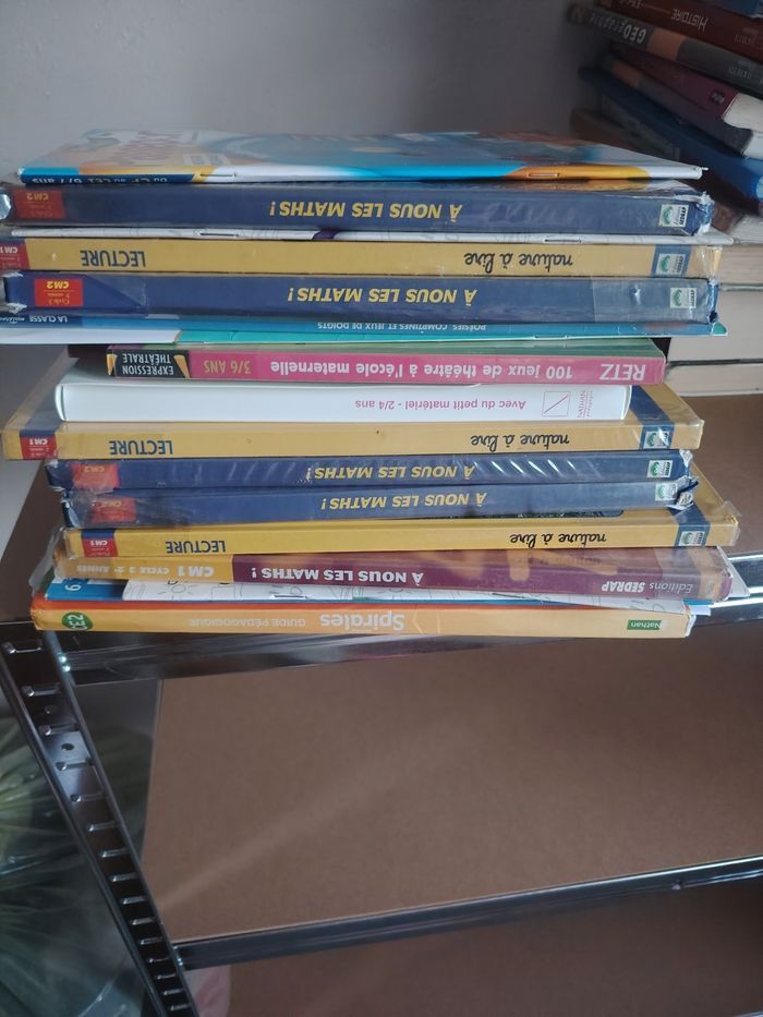 Livres école et cahier de vacance ps au CM2