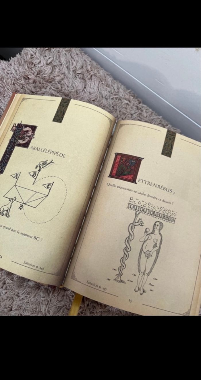 Livre énigme - photo numéro 6