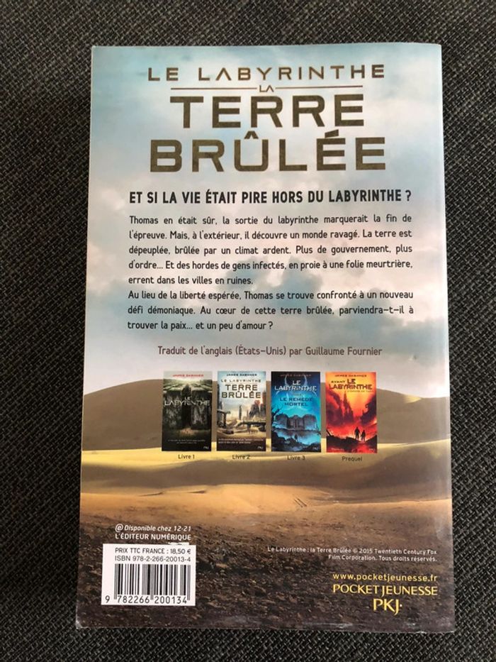 Labyrinthe la terre brûlée - photo numéro 2