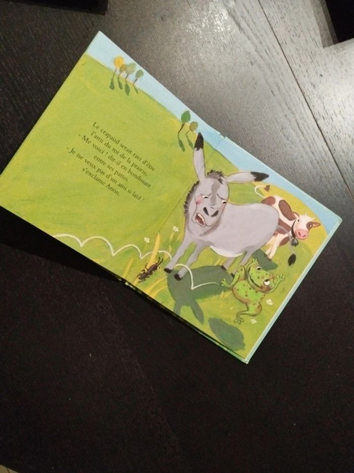 Livre Les Amis - photo numéro 2