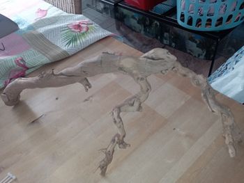 Branche de décoration