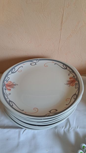 Lot 12 grandes assiettes 