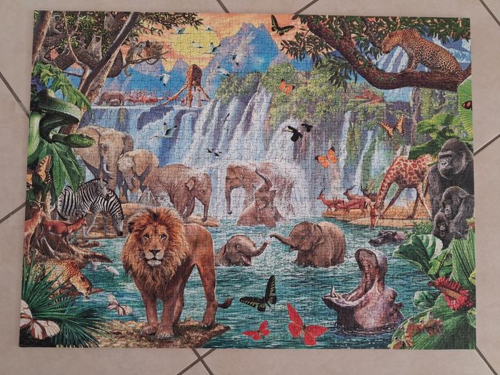 Puzzle - photo numéro 2