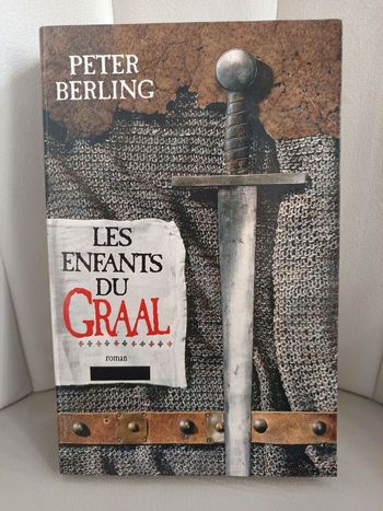 Roman " Les enfants du Graal "