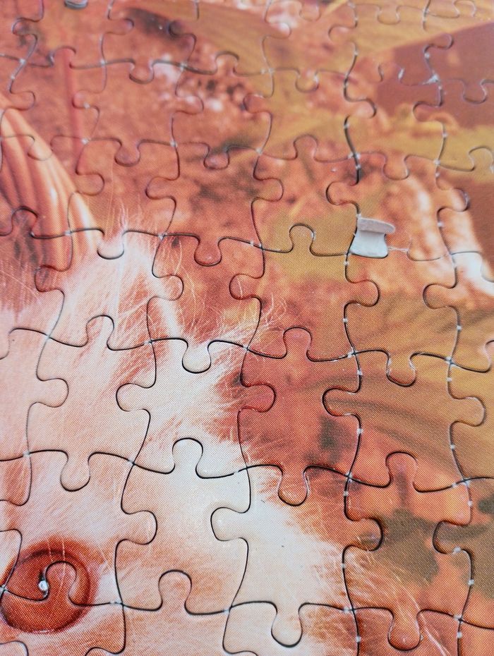 Puzzle chat et chien 500 pièces - photo numéro 5