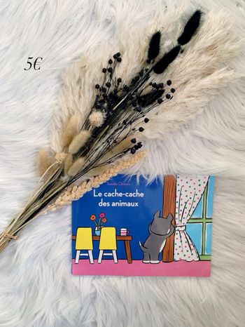 Le cache cache des animaux 📚