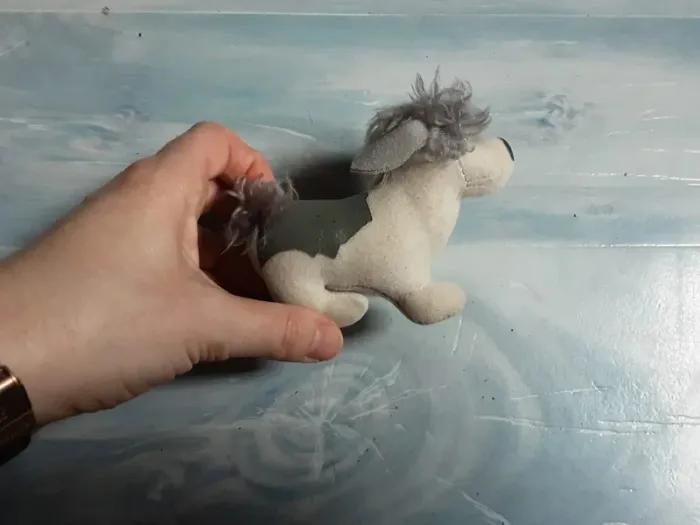 Mini chien - photo numéro 2