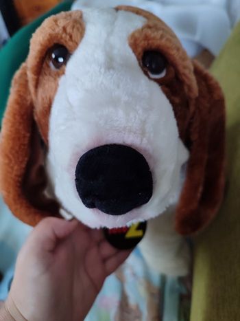 Gros chien teleZ officiel