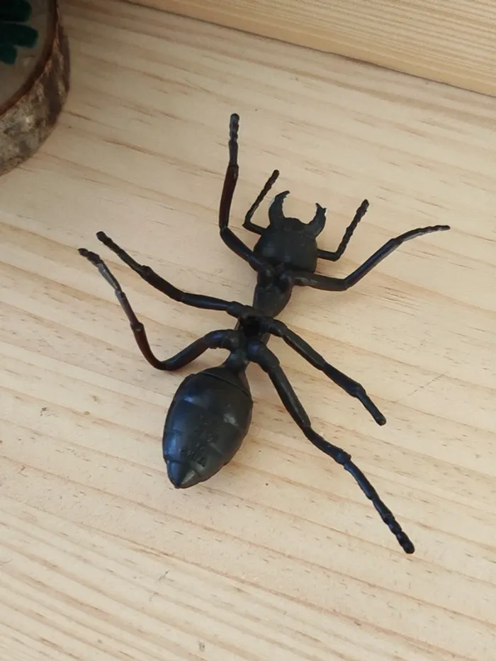 Figurine fourmi Animal insecte - photo numéro 3