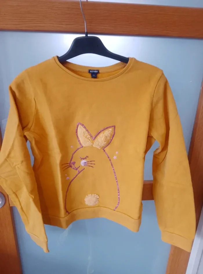 Pull Sweat Fille 12 ans