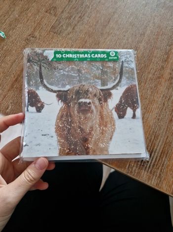 Lot de 10 cartes et enveloppes de Noël hiver vache écossaise