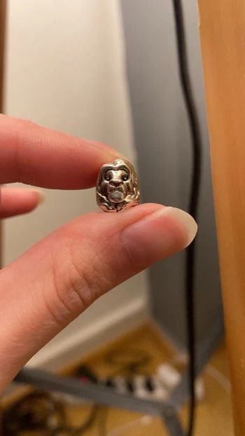 Charm Pandora