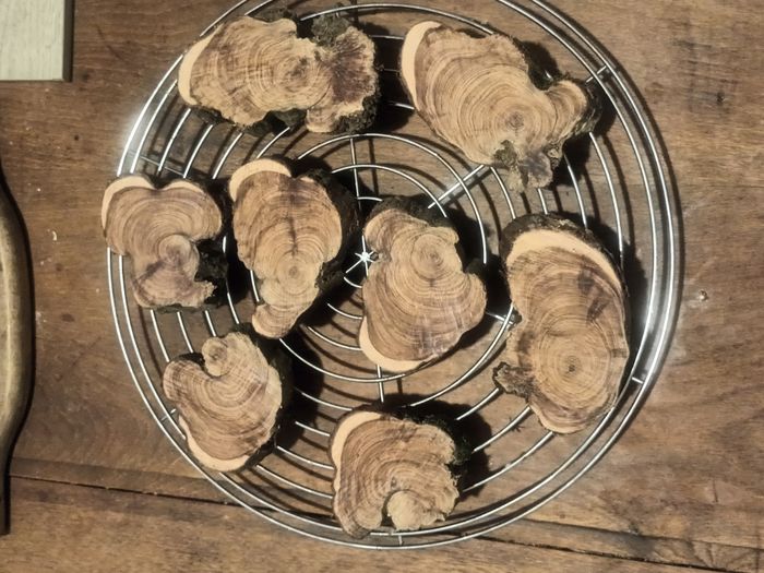 Lot de 6 anti mites naturel de bois de cade