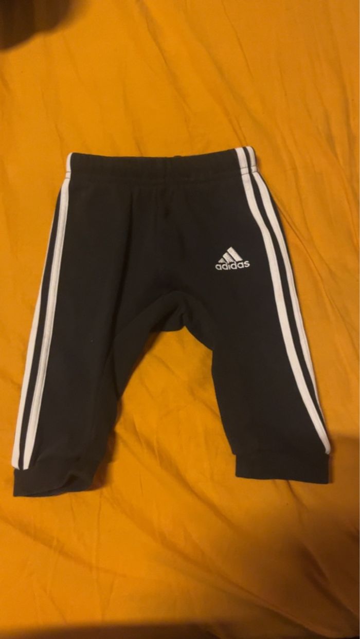 Ensemble - photo numéro 7