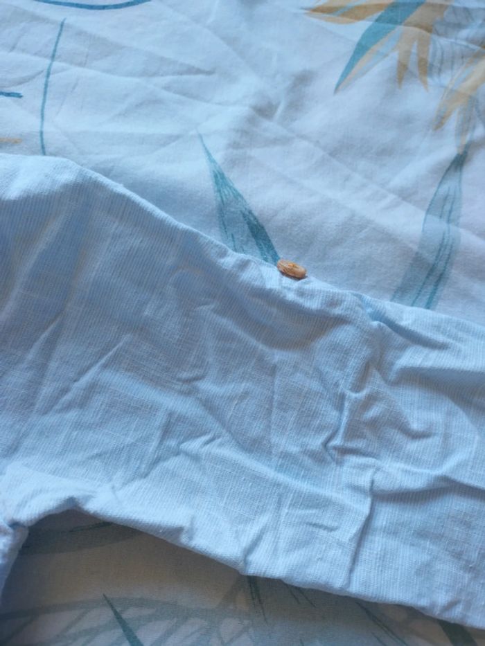 Chemise légère - photo numéro 4