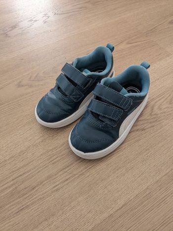 Basket puma