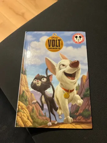 Livre pour enfants Disney volt star malgré lui