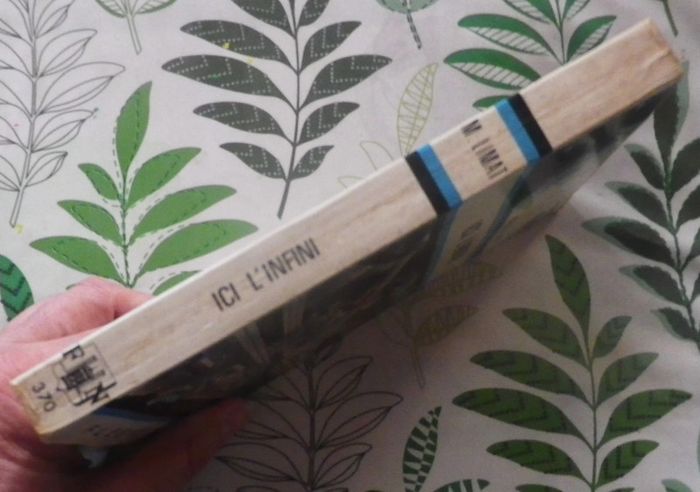 Ici l'infini de Maurice Limat Ed. Fleuve Noir Anticipation - photo numéro 3